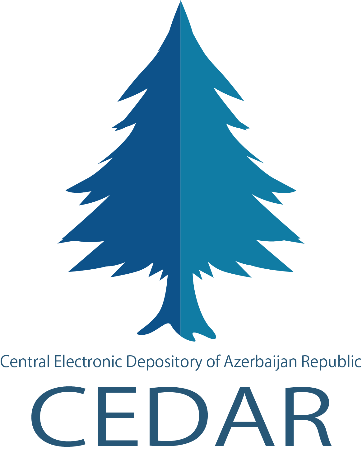 cedar